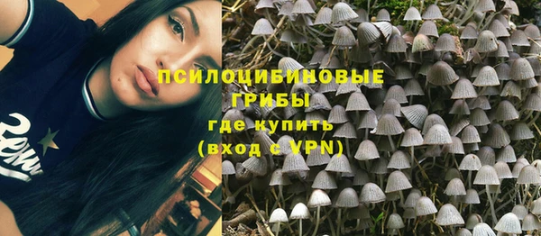 синтетический гашиш Алексин