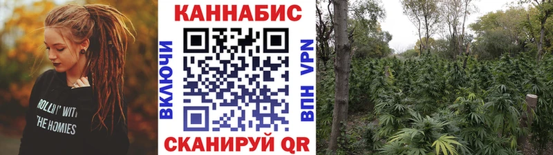 магазин продажи   Задонск  Конопля гибрид 